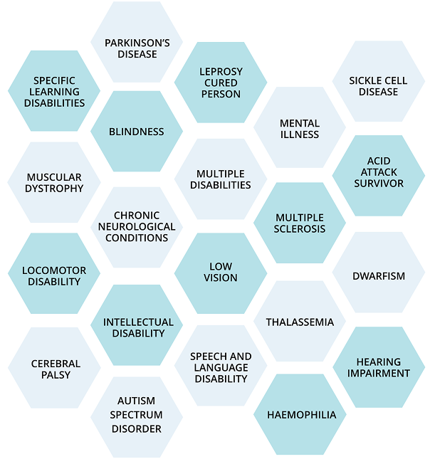 A honeycomb-style chart listing various disabilities recognized under Indian law.