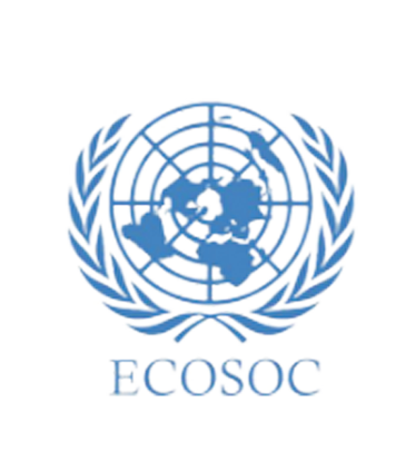 ECOSOC logo
